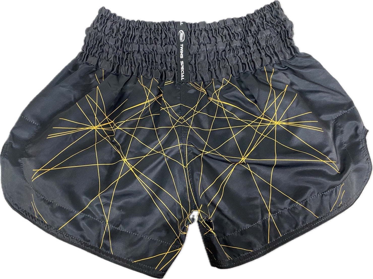 Twins Special x Booster Muay Thai Shorts TBT02 Twins Special x Booster Muay Thai Shorts TBT02